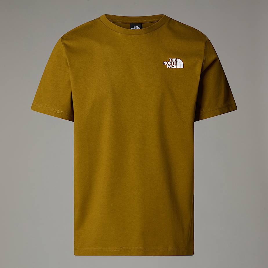 The north face tee top