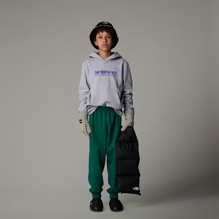 Sweat a capuche decontracte Varsity Graphic pour enfant The North Face CH
