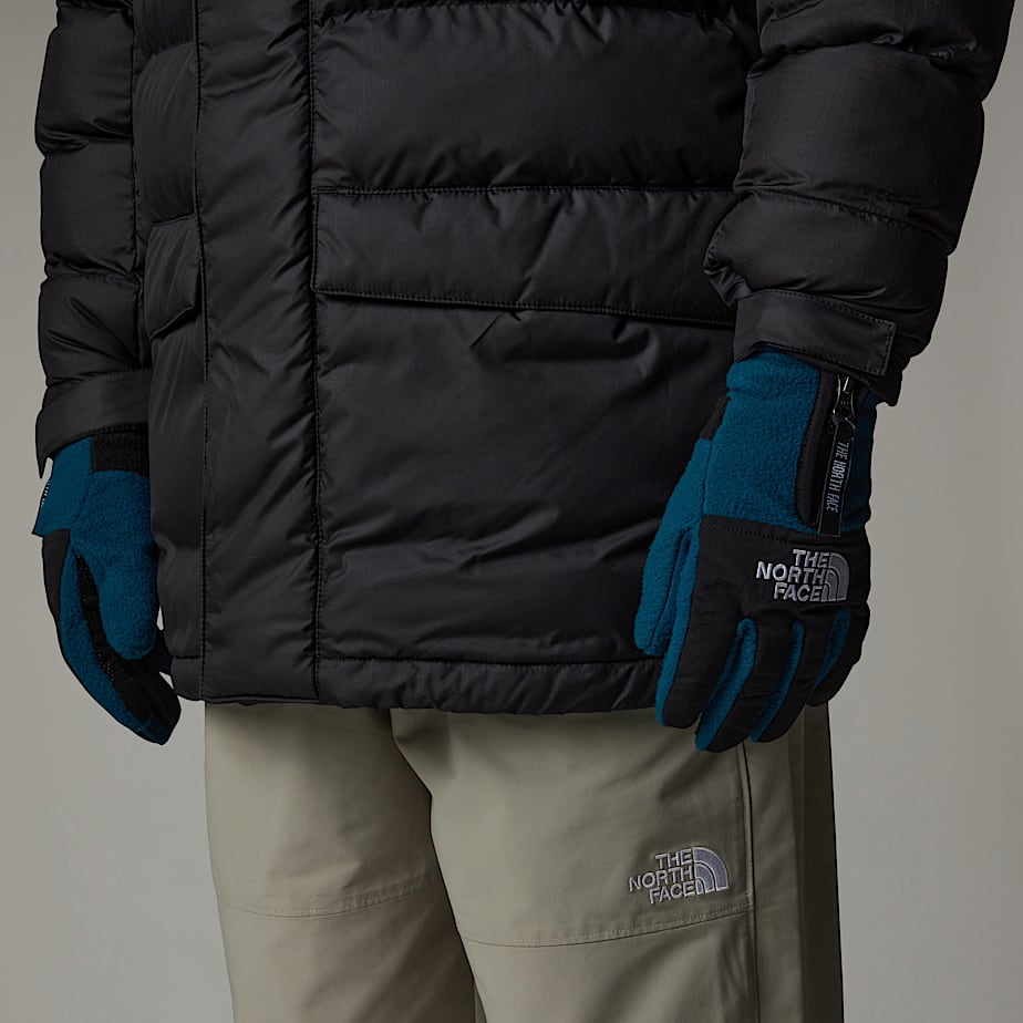 The north face men's denali etip gloves top