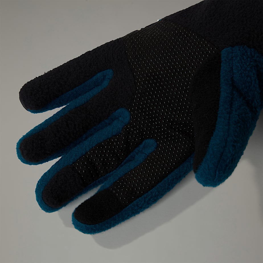 The north face denali etip top