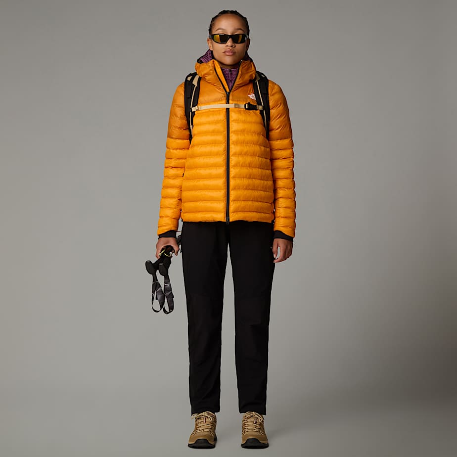 The north face women's speedlight pant cheap