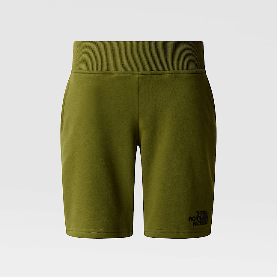 Boys north face shorts 2025