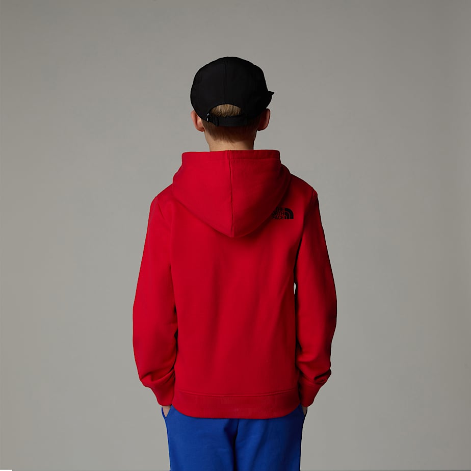 The north face boys hoodie best sale