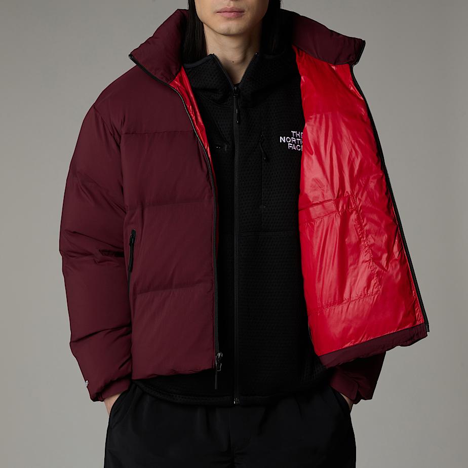 North face puffer jacket 700 mens sale