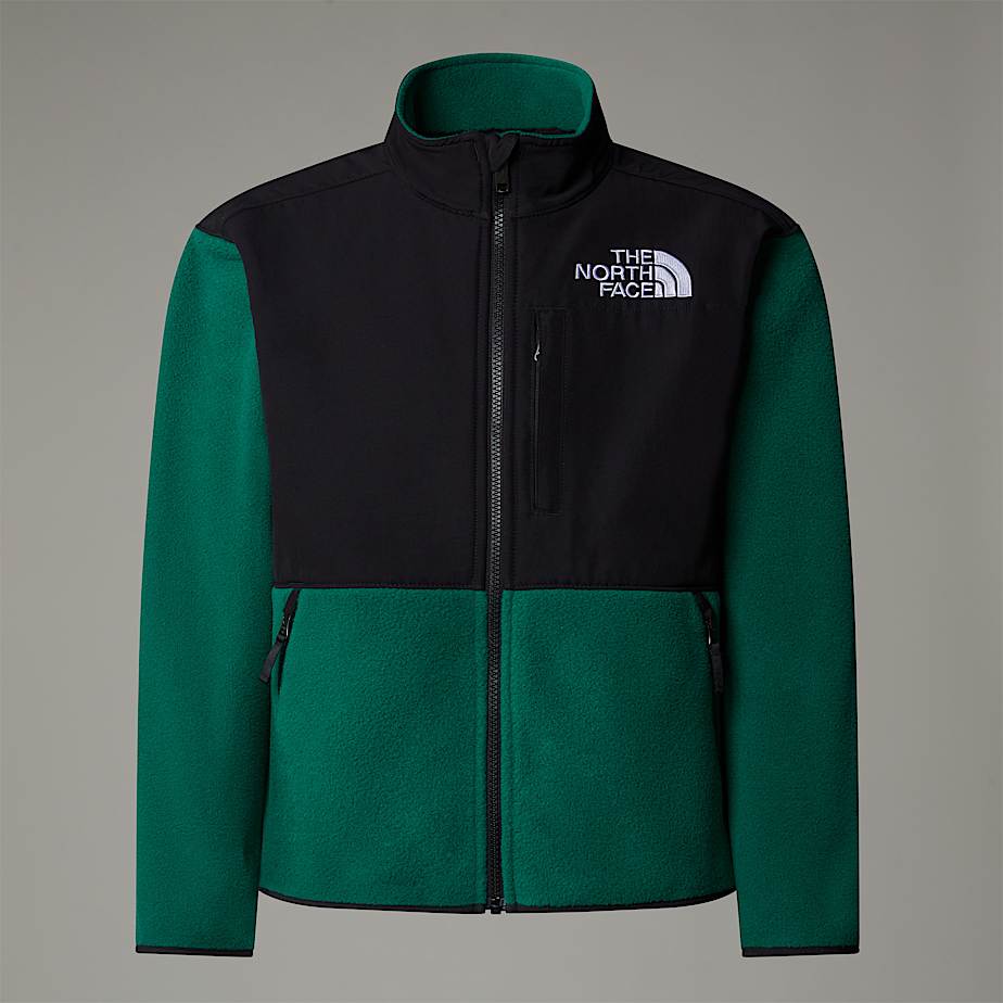 Children's north face denali jackets sale cheap