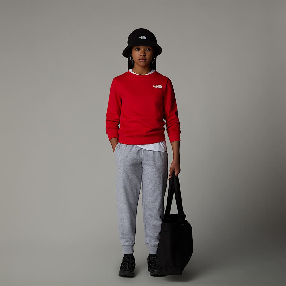 North face sweatshirt kids 2025