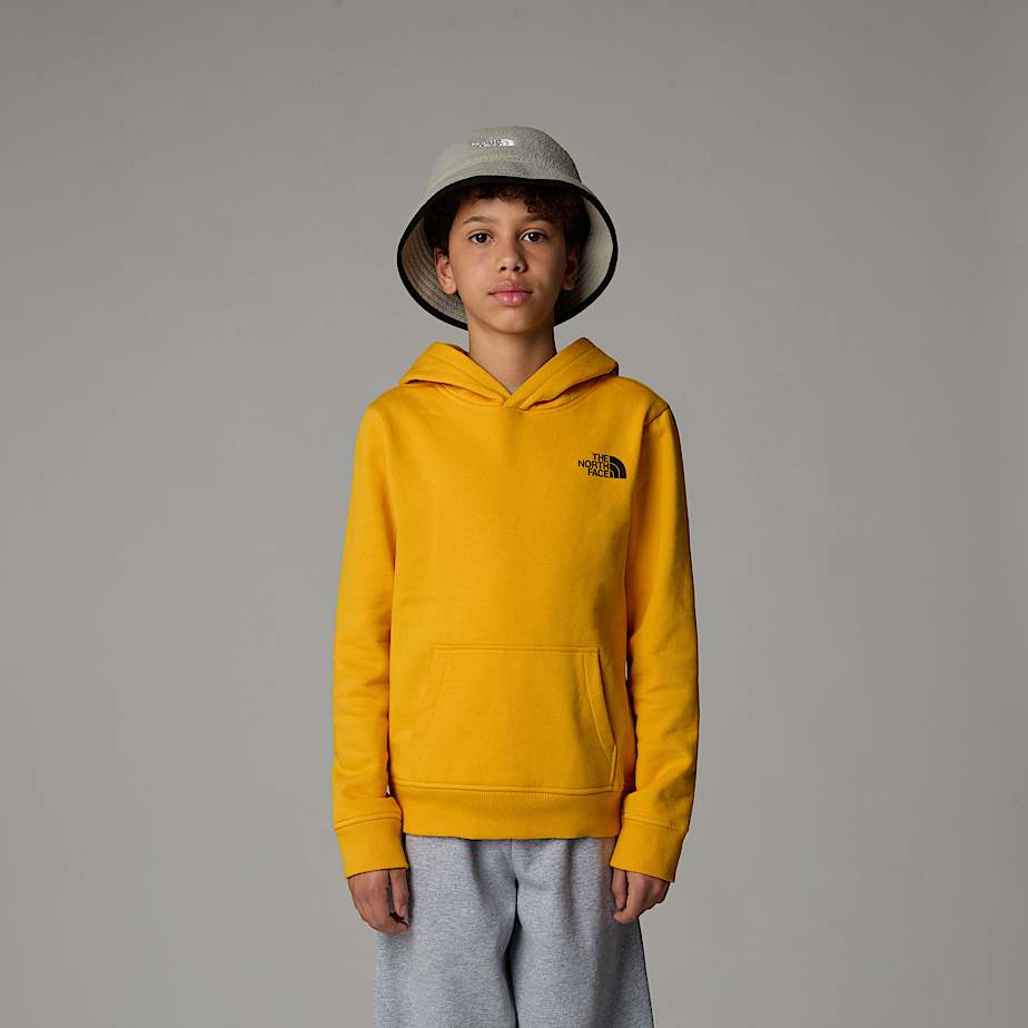 The north face women's red box pullover hoodie discount