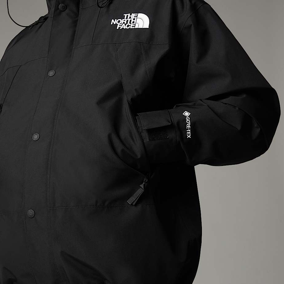 Mens north face mountain jacket online