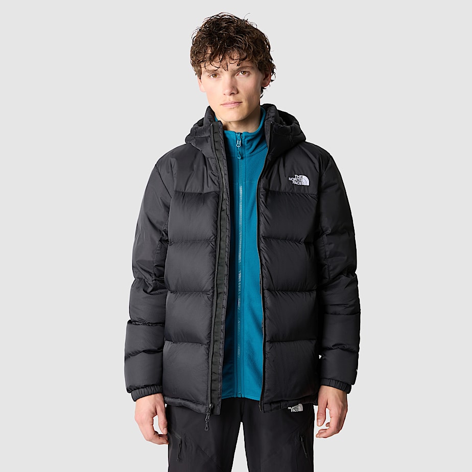 The north face 700 down top