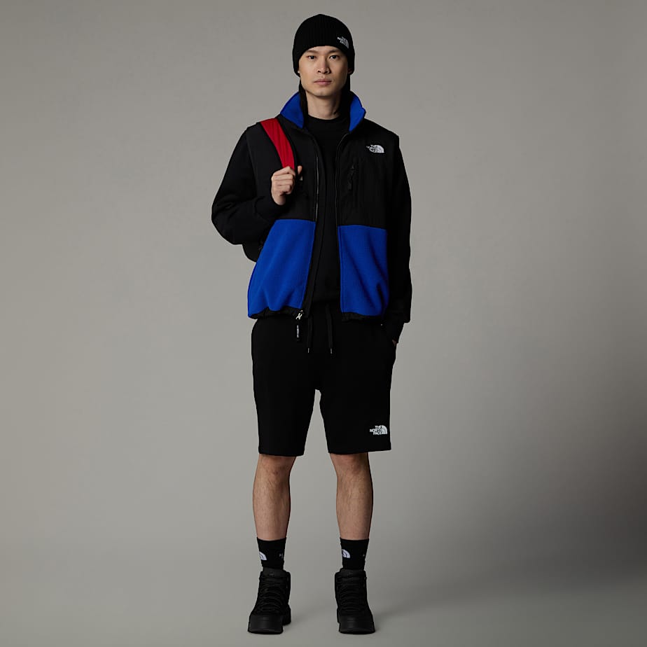North face logo shorts on sale