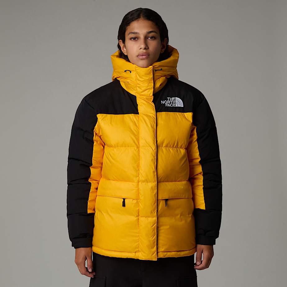 The north face himalayan down top