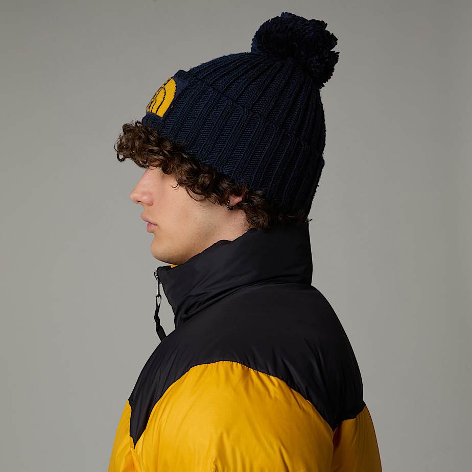 The north face ski tuke v beanie top