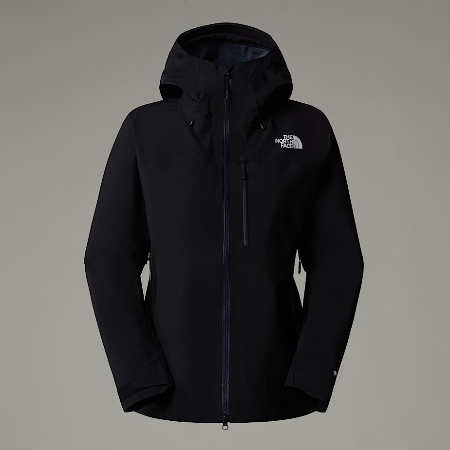 The north face gore tex womens jacket cheap