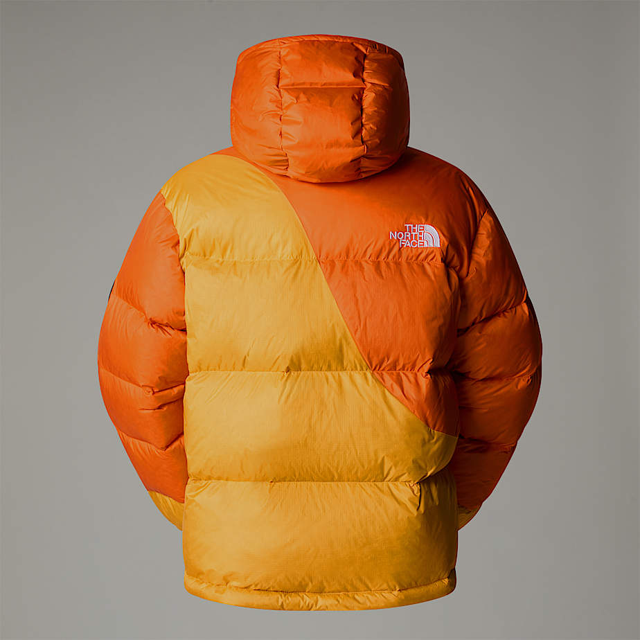 The north face tnf top