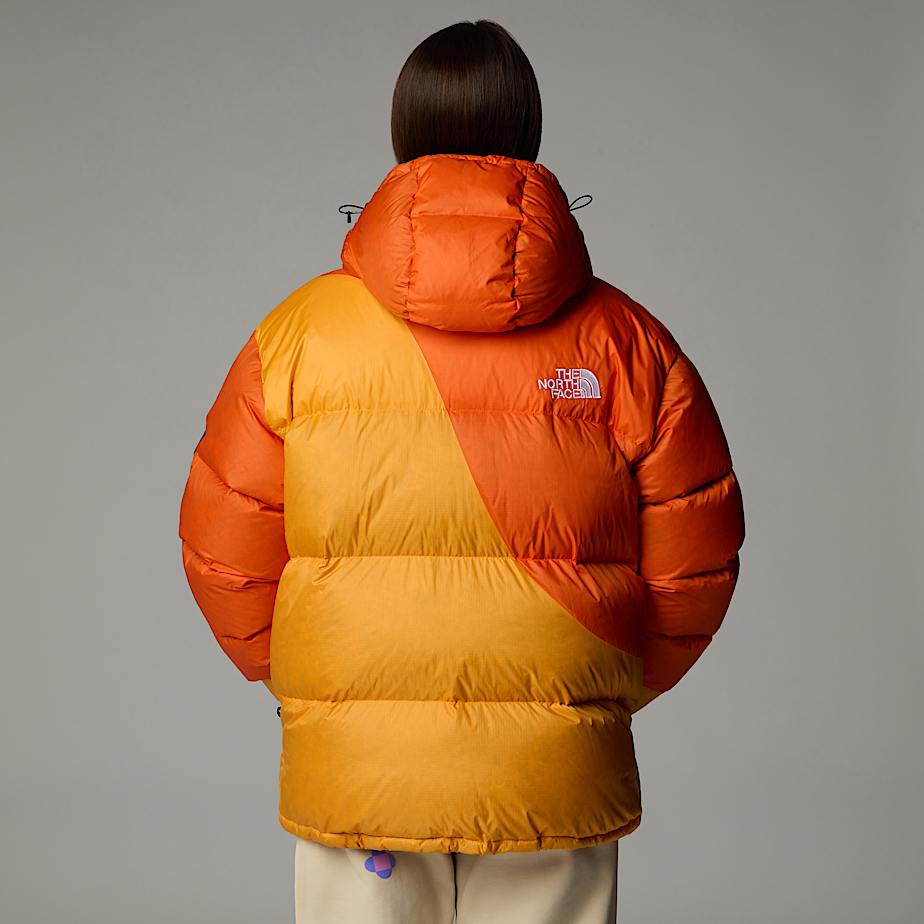 Doudoune tnf shop