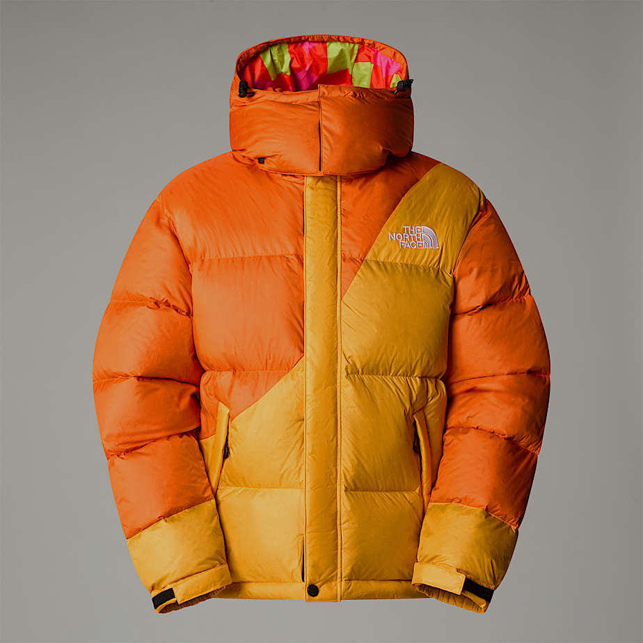 North face down puffer 2025