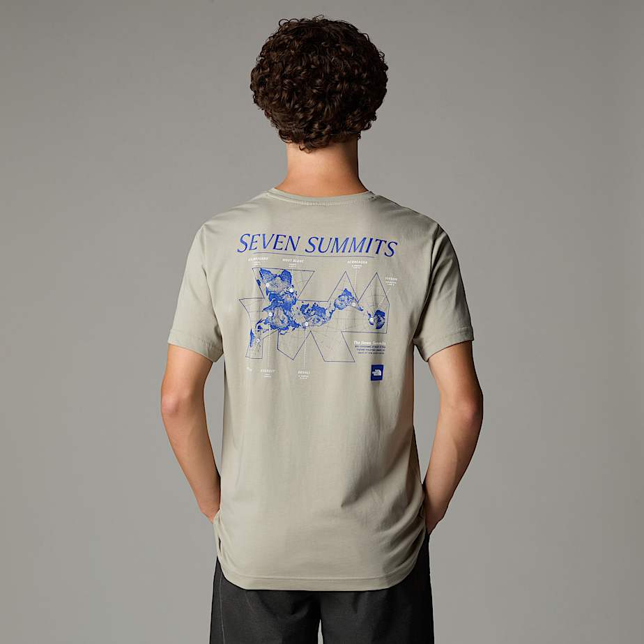 The north face t shirt grey on sale