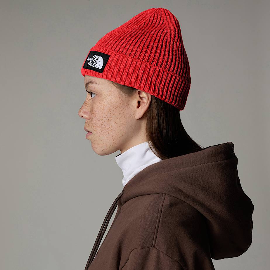 The north face red beanie deals