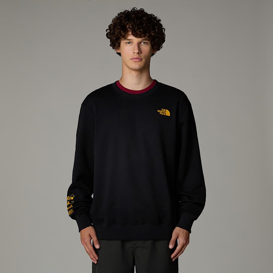 Mens the north face sweatshirt hot sale