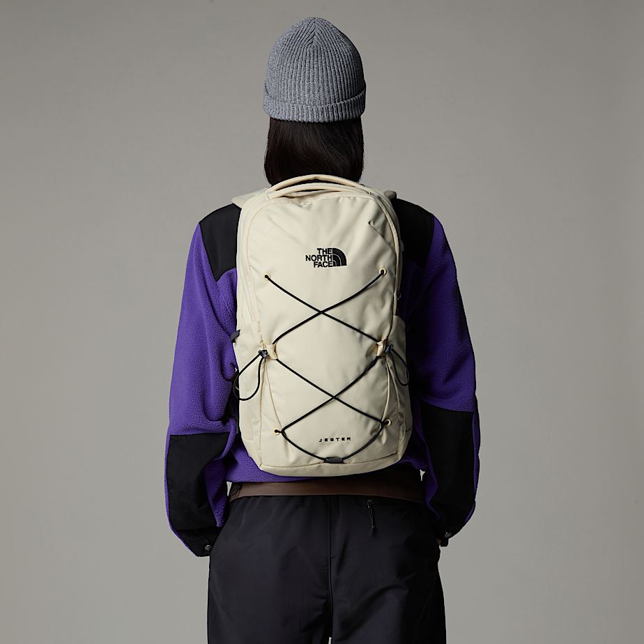 North face jester backpack pink and gray shop