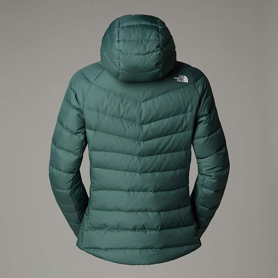 The north face hometown hoodie online