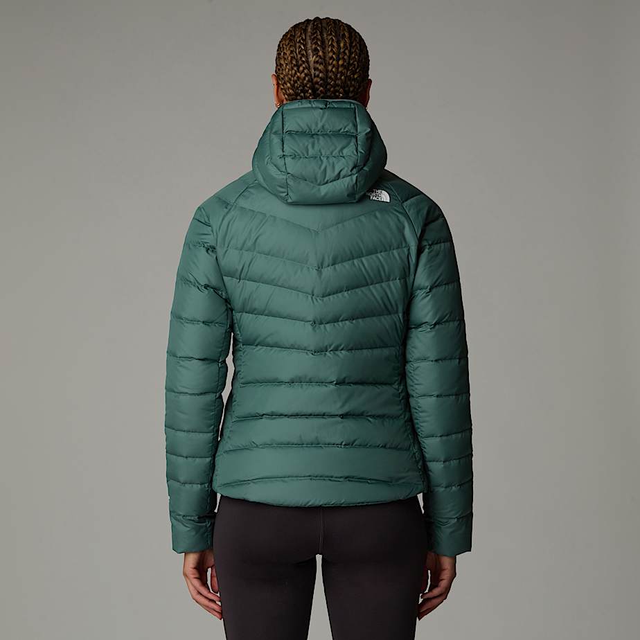 The north face hometown hoodie on sale