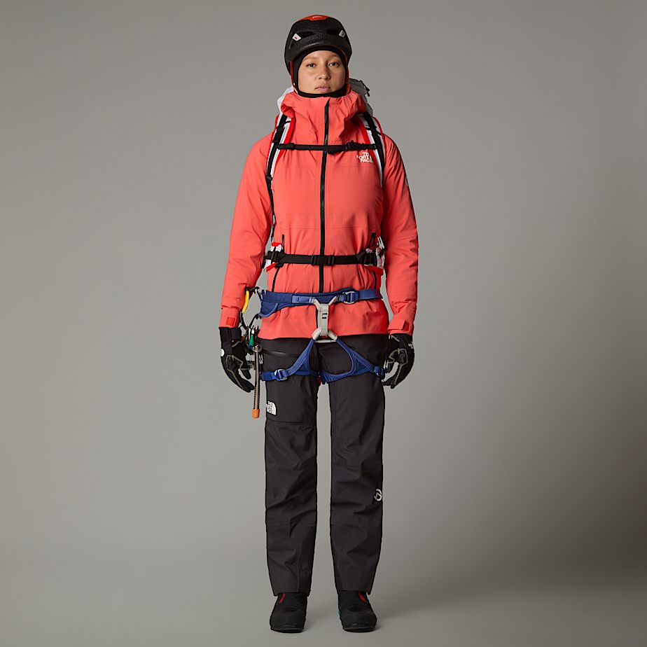 Veste ski femme the north face hot sale