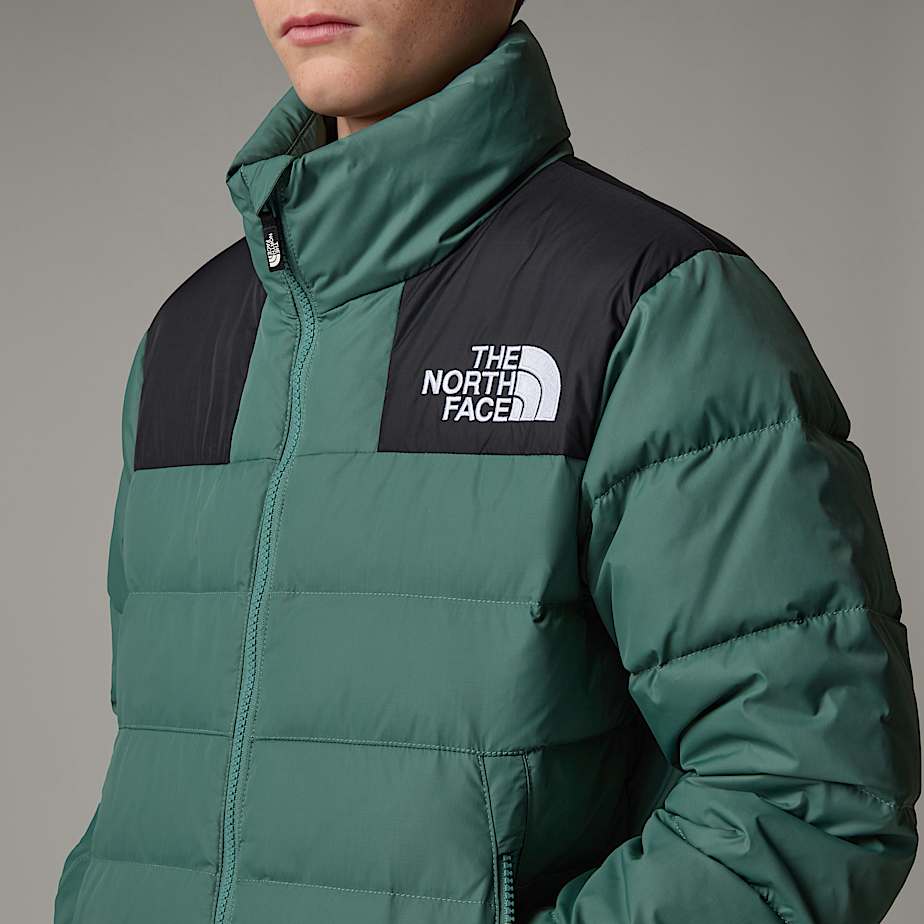 The north face nuptse ridge parka men's on sale