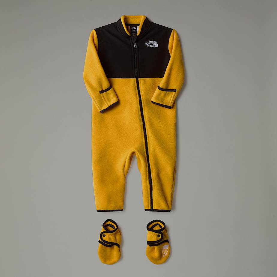Baby north face denali new arrivals