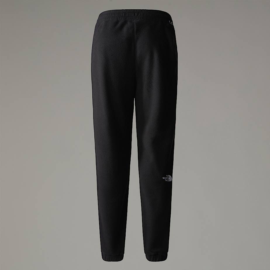 Women s 100 Glacier Joggers The North Face IE
