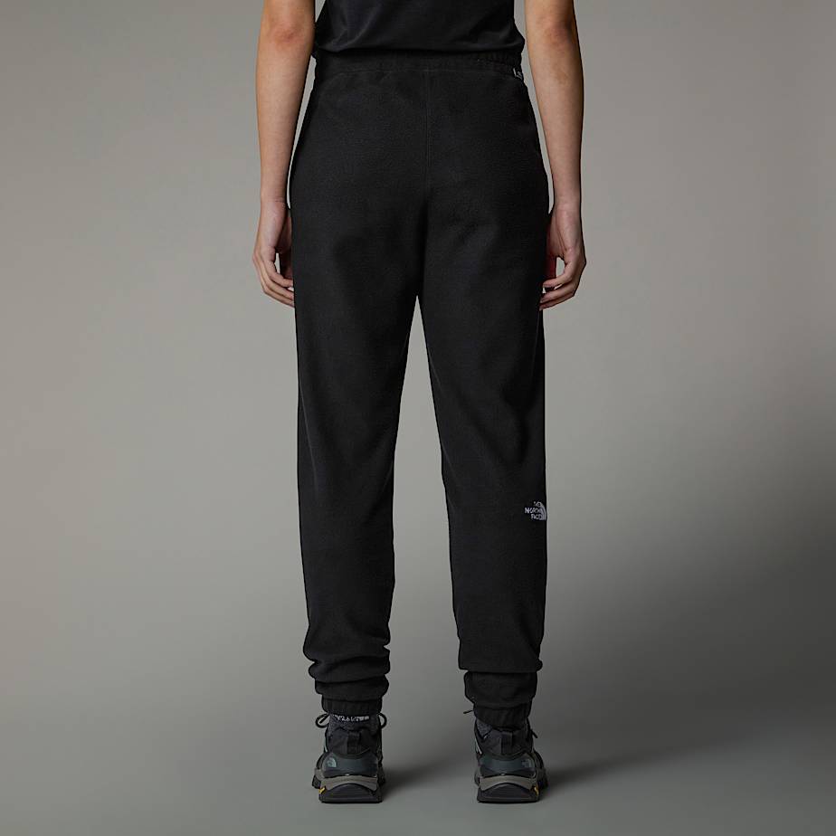 Women s 100 Glacier Joggers The North Face IE