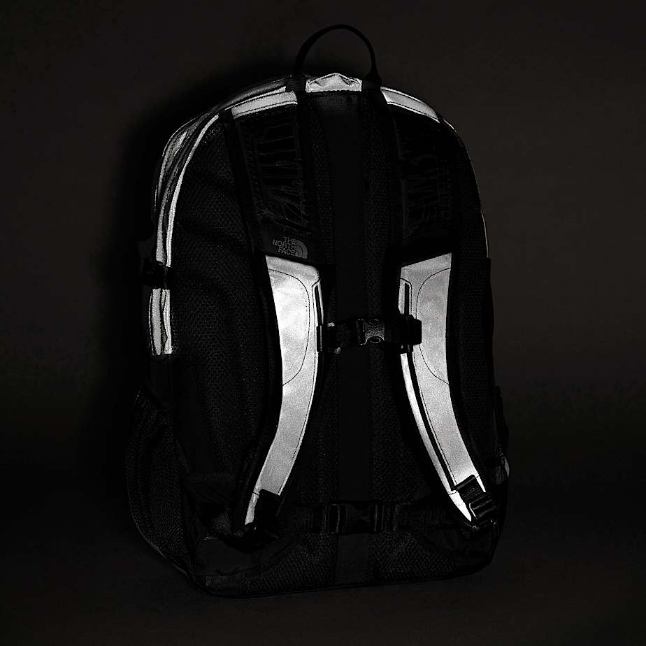 Borealis Classic 25th Anniversary Backpack | The North Face DK